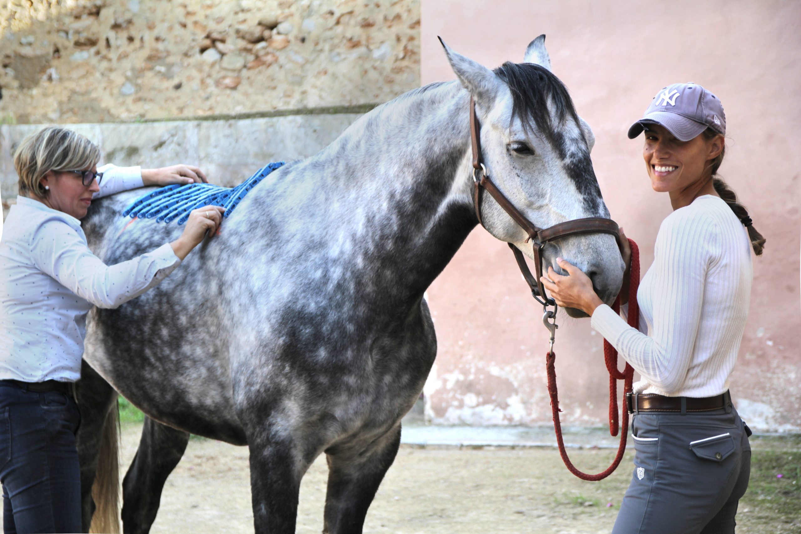 Equiscan Pferderückenvermessung Yvonne Neubert-Heberle