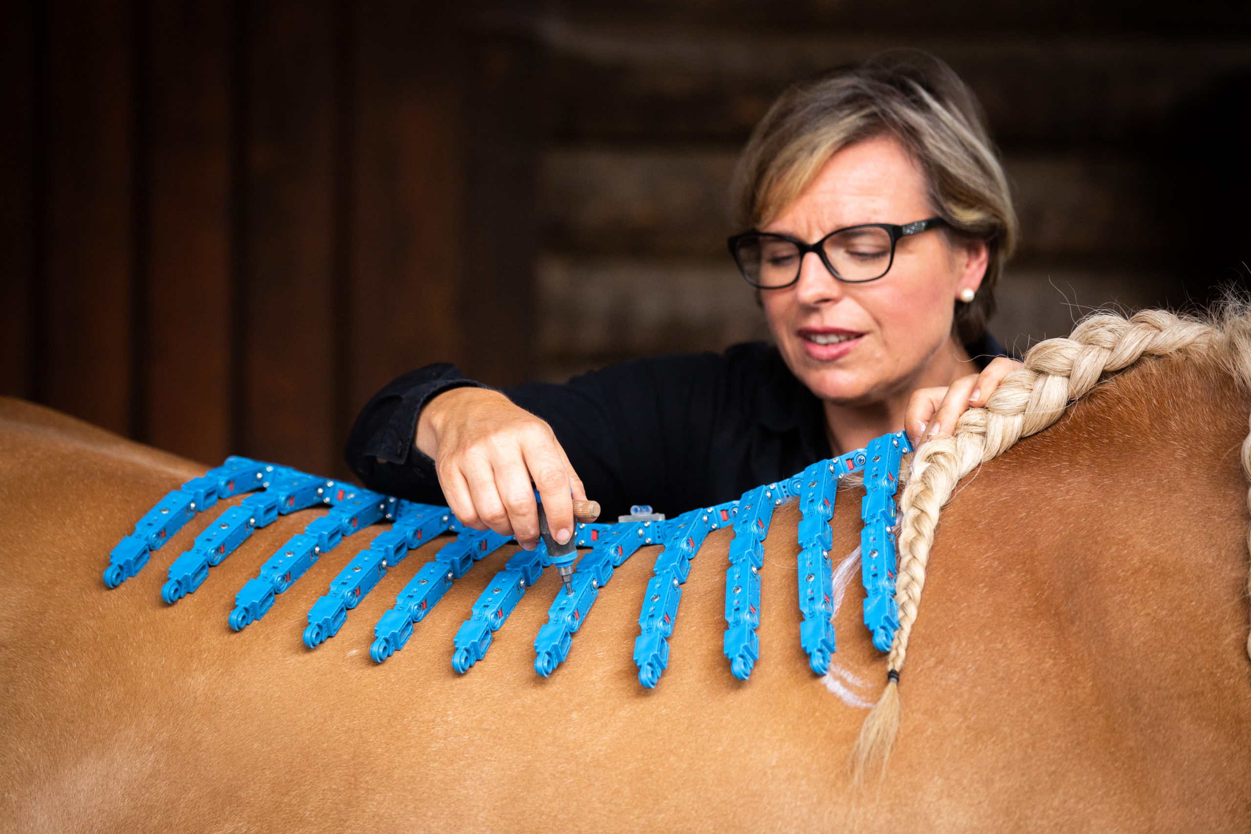 EQUIscan Pferderückenvermessung, Sattel passt, Sattelpassform, Rückenvermessung, Yvonne Neubert-Heberle